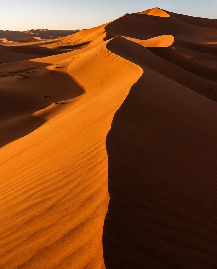 Ridges of the Erg Chebbi dunes in the Sahara